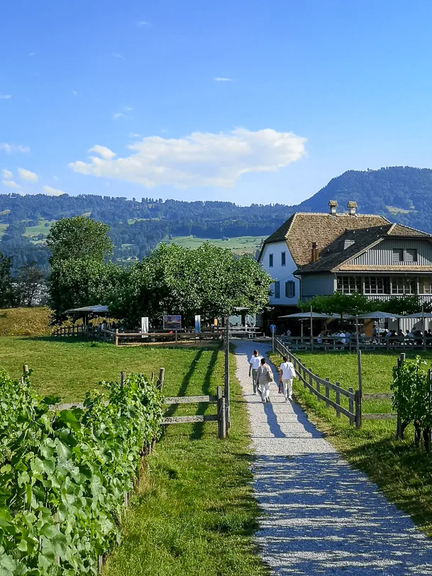 inselwirtschaft-ufnau-restaurant-3-jpg.webp