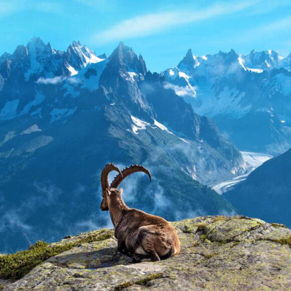 berge_quadrat.jpg
