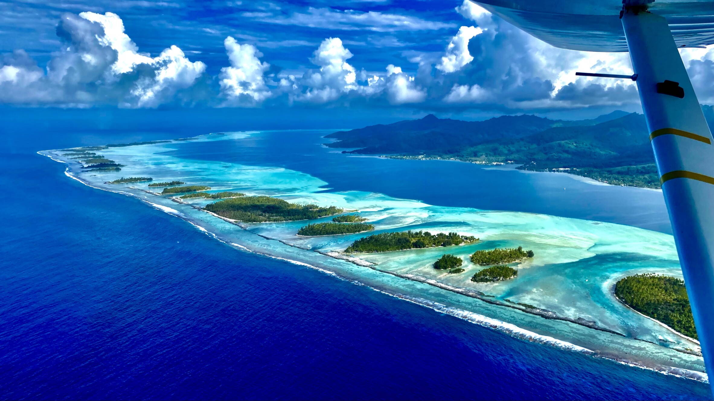 Pacific Society