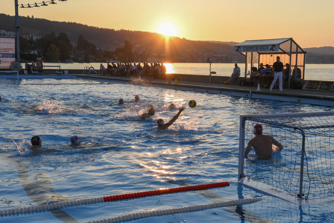 Schwimmclub Horgen